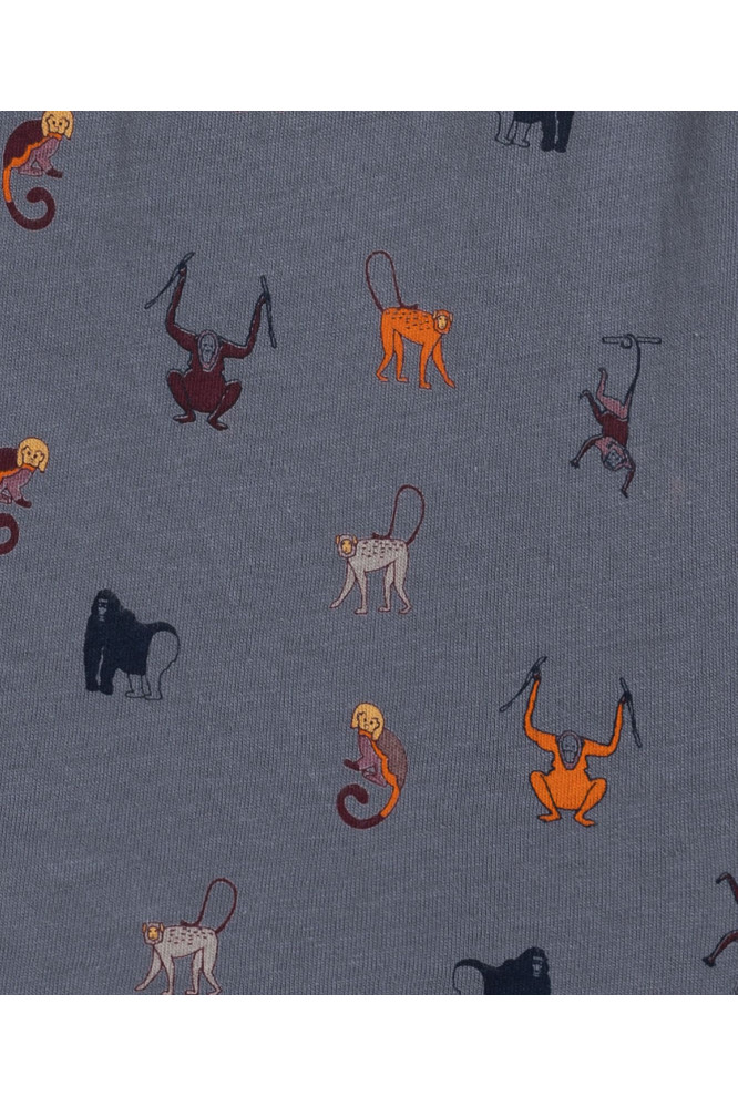 Bokseriai 2MBX-046 Pilka-Mėlyna