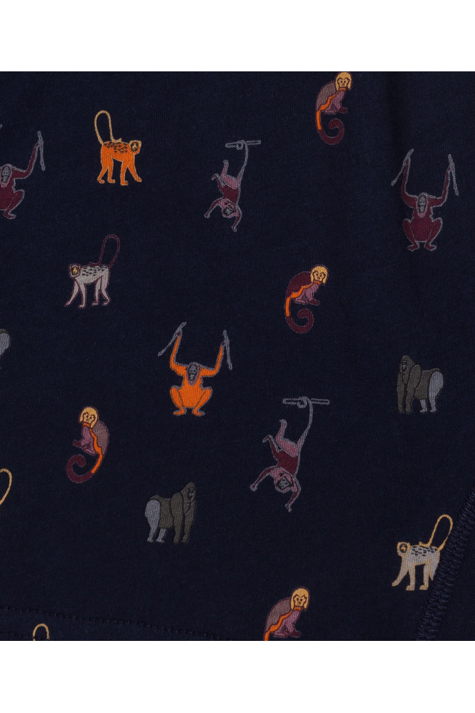 Bokseriai 2MBX-046 Pilka-Mėlyna