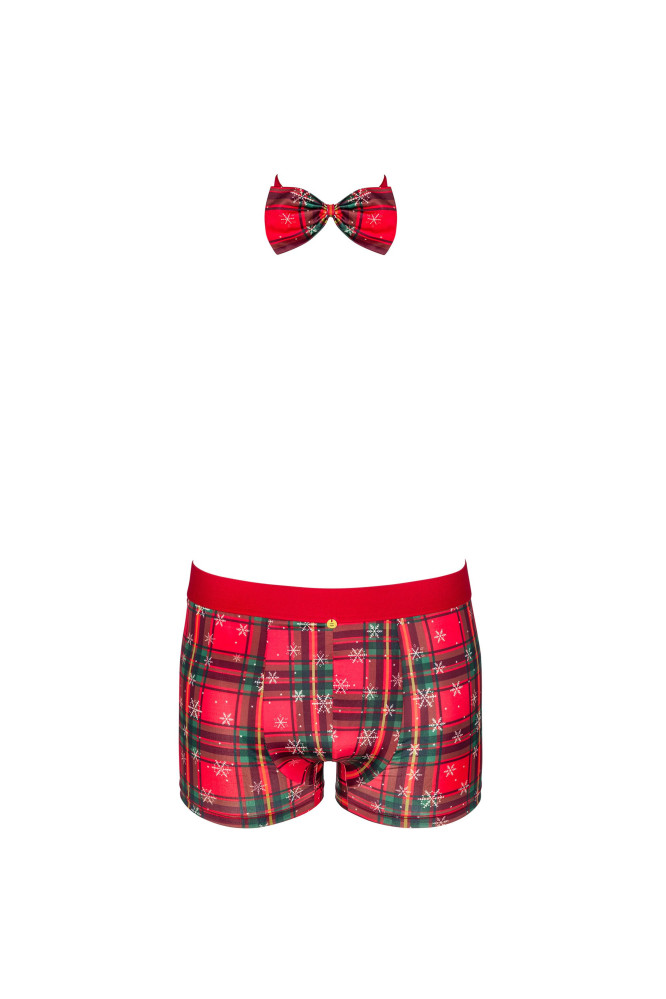 Bokseriai Mr Merrilo short