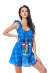 Naktinukai Aster Mėlyna