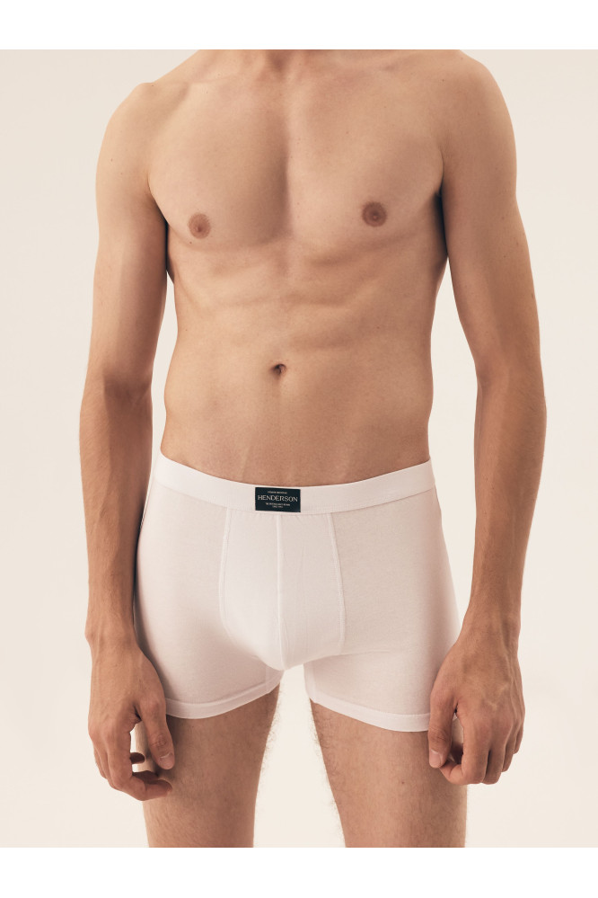 Bokseriai Main 42971-K005