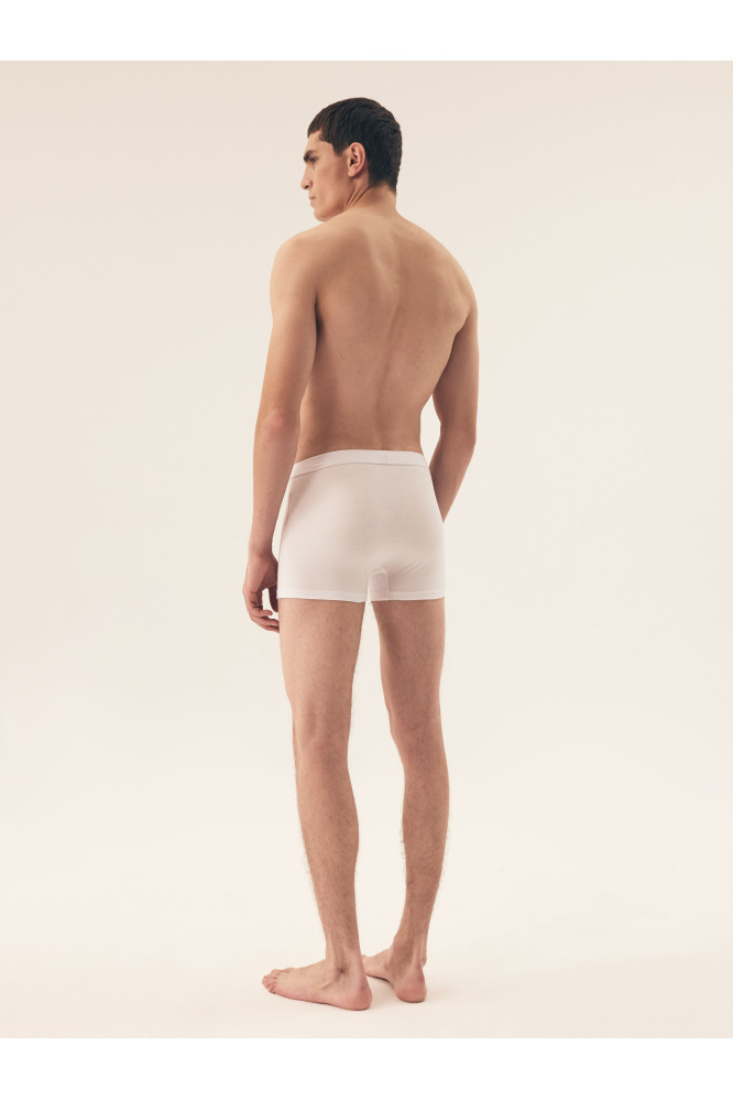 Bokseriai Main 42971-K005