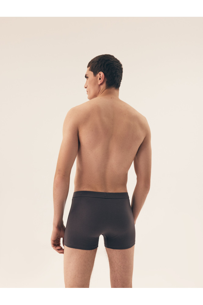 Bokseriai Main 42971-K005