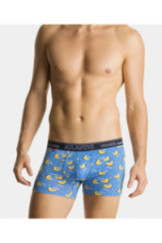 Bokseriai Summer Duck 2MH-066 2-komplektas