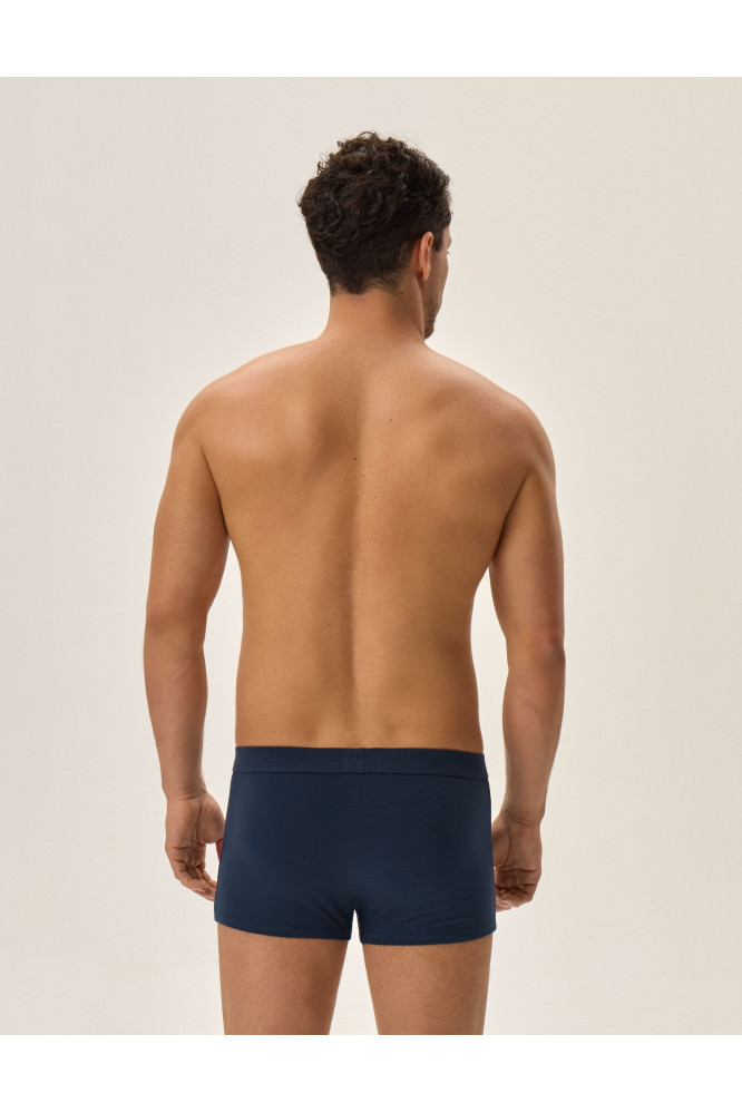 Bokseriai Job 41925-MLC Mėlynai-Žalia