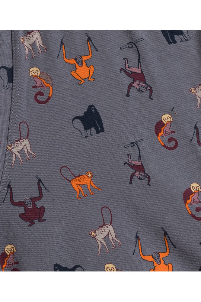 Bokseriai 2MH-064 Pilka-Mėlyna