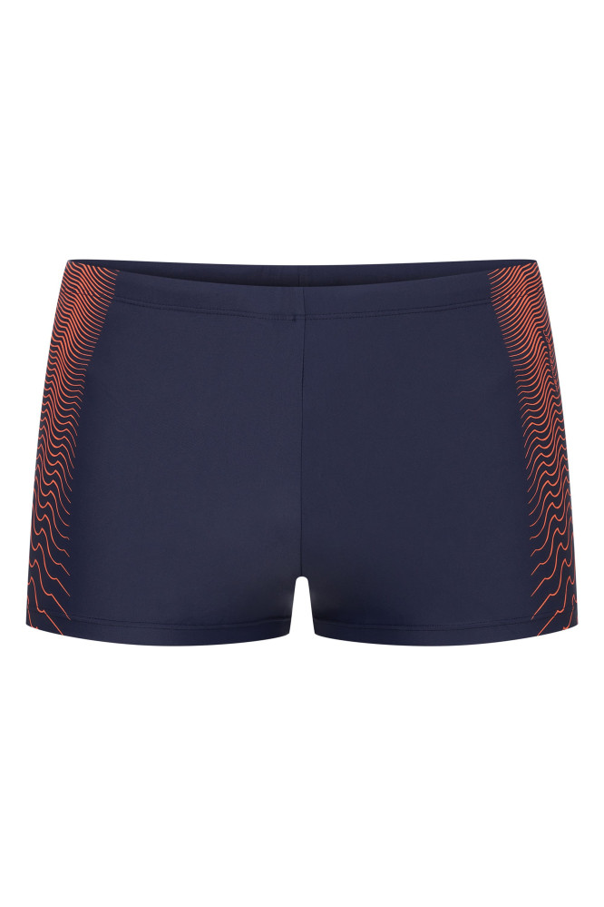 Maudymosi šortai Radon 42607-59X Mėlyna