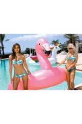 Maudymosi kostiumėlis N2-88/W 441